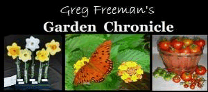 Greg Freeman's Garden Chronicle